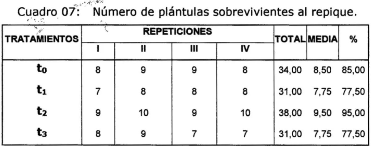 Cuadro 07: Número de plántulas sobrevivientes al repique. 