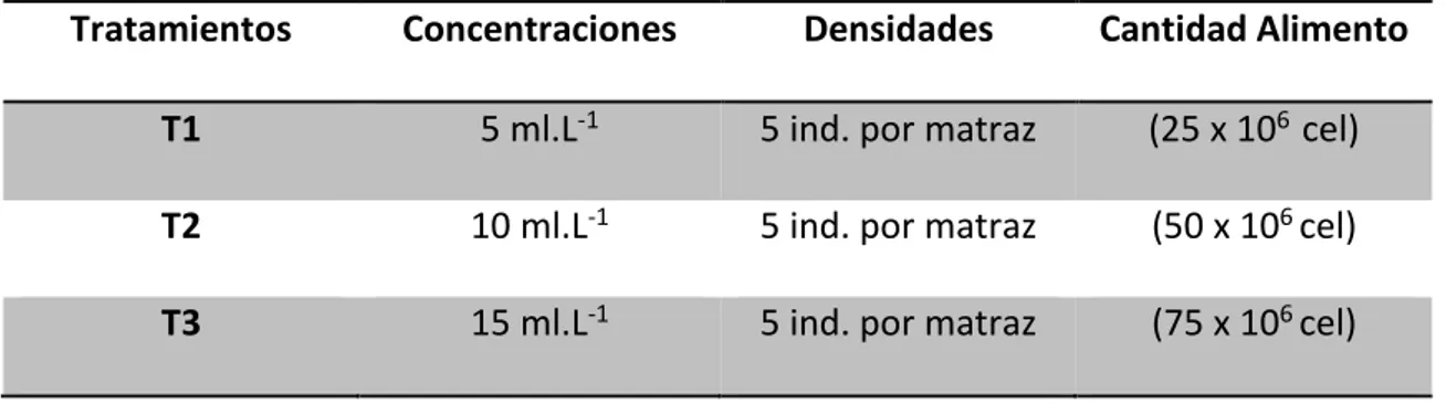 Cuadro 1. Tratamientos para el cultivo de Ceriodaphnia sp. alimentados con Chlorella  sp y Scenedesmus sp., bajo condiciones de laboratorio.