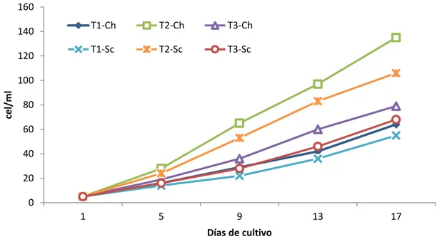 Figura 2. Crecimiento poblacional de Ceriodaphnia sp en los tratamientos T1 (5ml), T2 (10ml),   T3 (15ml) de Chlorella sp y Scenedesmus sp
