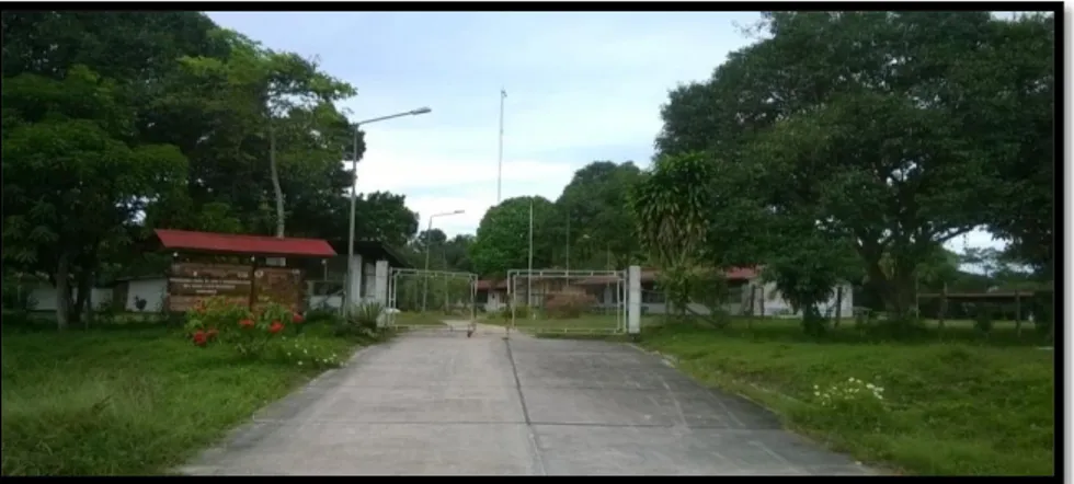 Foto 1. Vista frontal de las instalaciones del Centro de Investigación Fernando Alcántara  Bocanegra – IIAP