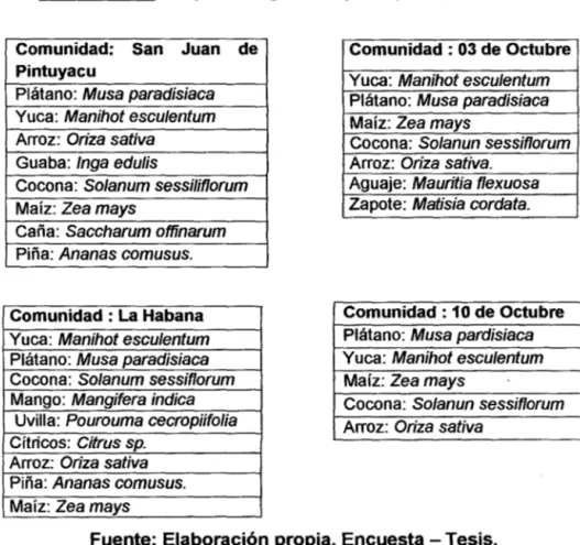 Cuadro N° 15:  Especies agñcolas principales, cultivadas. 