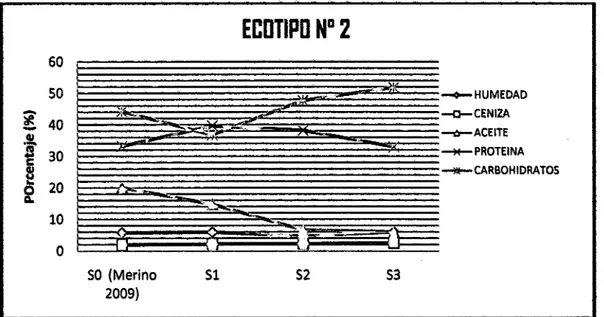 Tabla 9: Composición físico- químico de la almendra del Ecotipo  No  2 de  Plukenetia volubilis  (Sacha inchi) expresados en% peso  en las líneas mejoradas S 1, S2  y  S3 