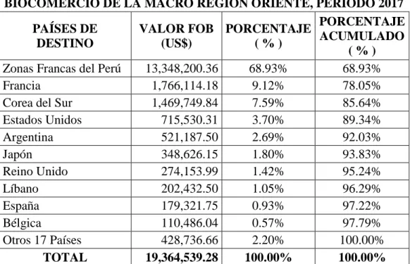 Gráfico N° 19