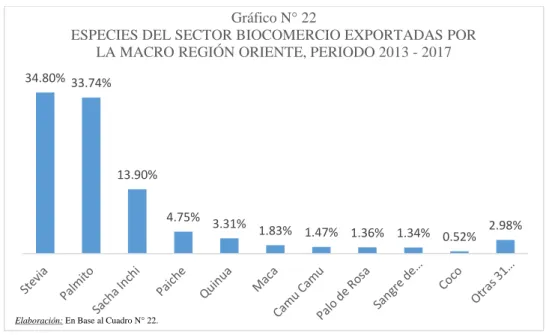 Gráfico N° 22