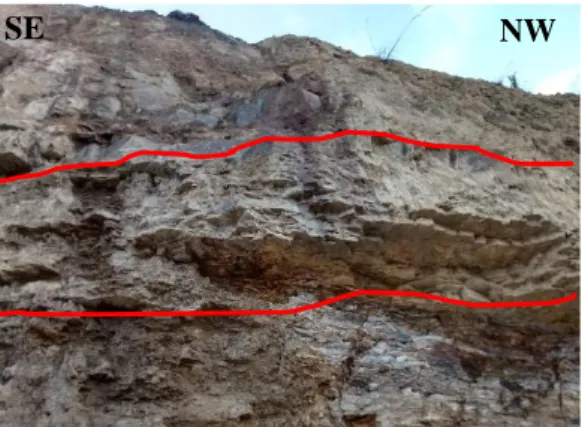 Foto 3.4: Afloramiento de la Formación Inca en  Pampas de Ponce, Tahona Baja. 