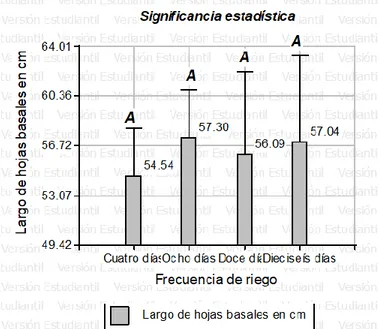Gráfico  N°02.  Promedios  de  largo  de  hoja  basal  en  cm,  muestra  diferencias estadísticas no significativas