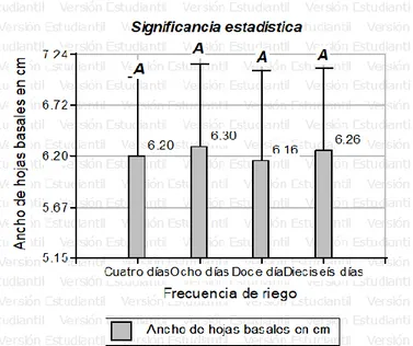 Gráfico  N°03.  Promedios  de  ancho  de  hoja  basal  en  cm,  muestra  diferencias estadísticas no significativas