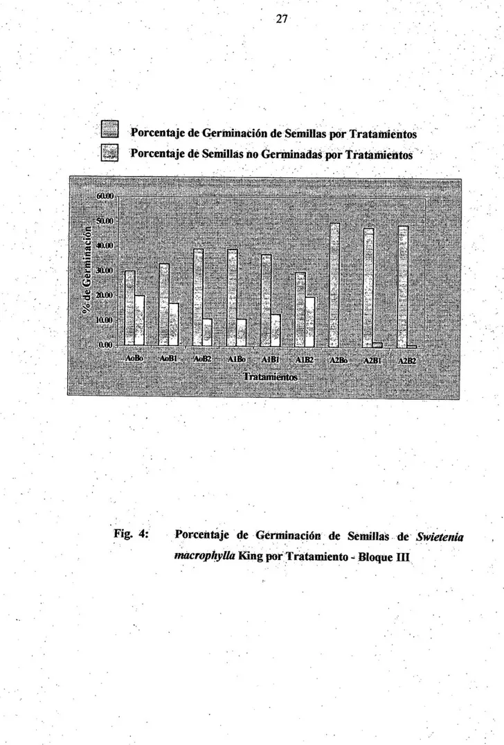 Fig. 4:  Porcentaje de Germinación de Semillas de Swieíenia  tnacrophyüa King por Tratamiento - Bloque  I I I 