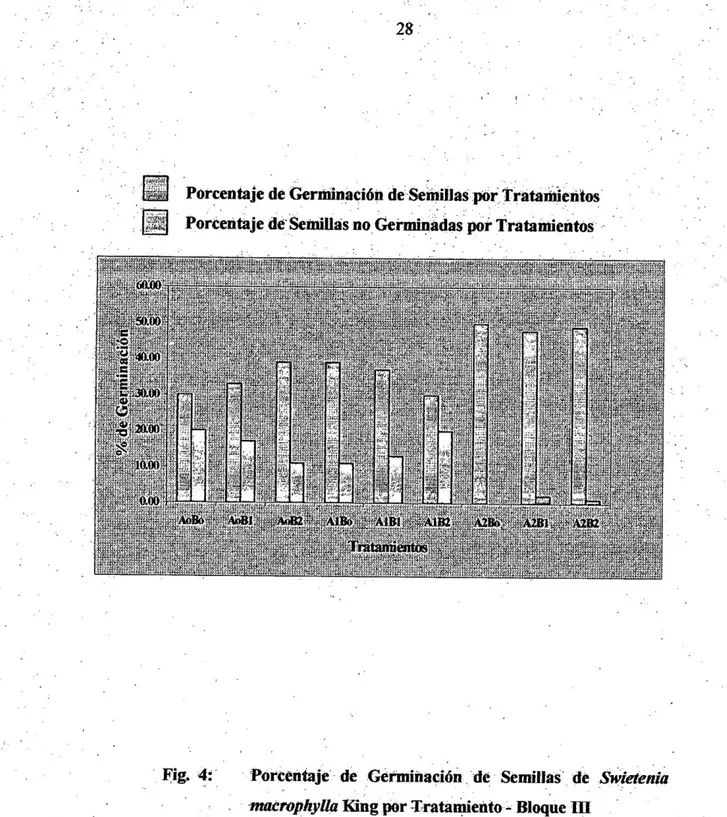 Fig. 4: Porcentaje de Germinación de Semillas de Swietenia  matrophylla King por Tratamiento - Bloque  H I 