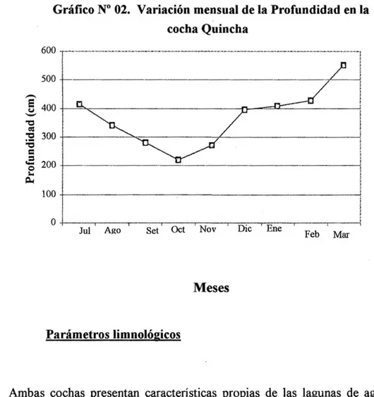 Gráfico N° 02. Variación mensual de la Profundidad en la  cocha Quincha  =  o  -c  cS  -a  600 500  400 2  300 •a c  a  o  I H  CU  200  100  O.