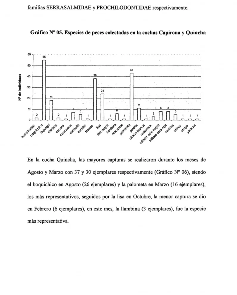 Gráfico N° 05. Especies de peces colectadas en la cochas Capirona y Quincha 