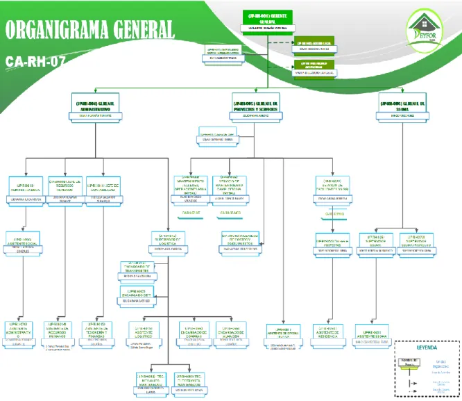 Fig. 31   Organigrama general propuesto 