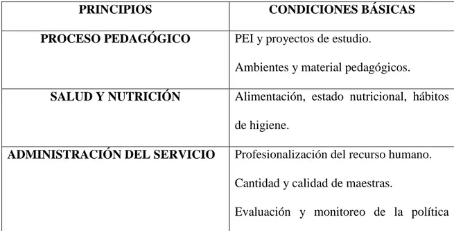 Figura No.5 Principios de Evaluación Holística en Bogotá para la Primera Infancia 
