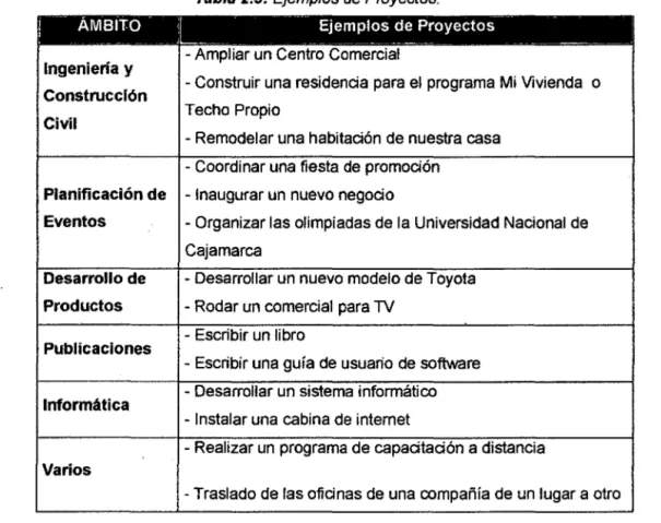 Tabla 2.3: Ejemplos de Proyectos. 