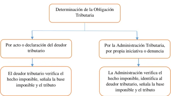 Figura 9. Determinación de la Obligación Tributaria 