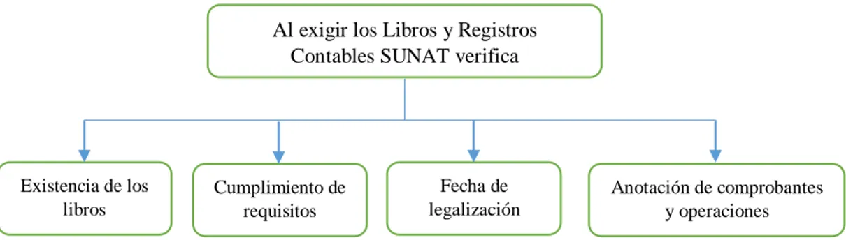 Figura 13. Verificación de Libros y Registros 