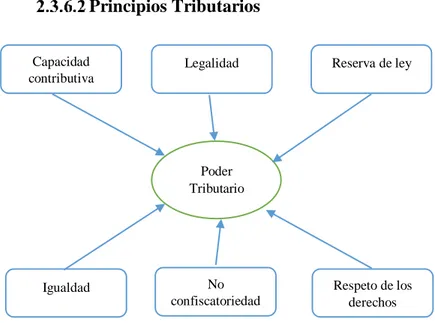 Figura 3. Principios Tributarios 