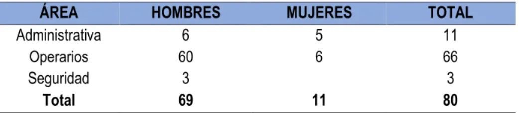 Tabla 1: Personal de Servicios y Equipos Amazónicos S.A.C. 