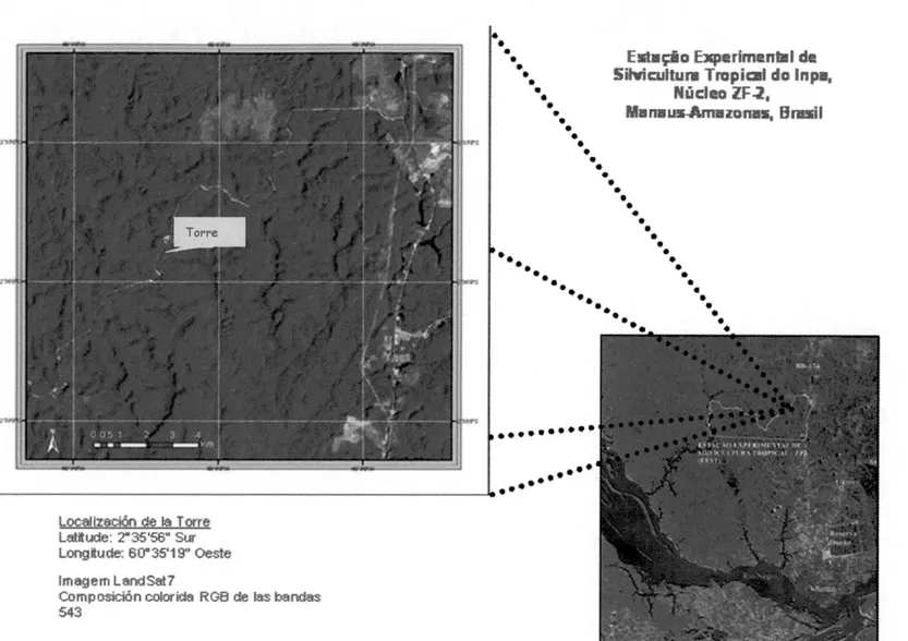 Figura 1.-Localización de la Torre de la Estación Experimental de Silvicultura Tropical (E.E.S.T), Núcleo ZF-2; INPA 