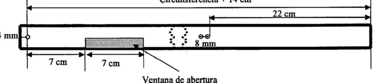 Figura 4- Banda dendrométrica con una ventana 