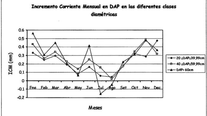 Figura 7- Incremento corriente mensua (ICM) en DAP en las diferentes clases  diamétricas (CD) 