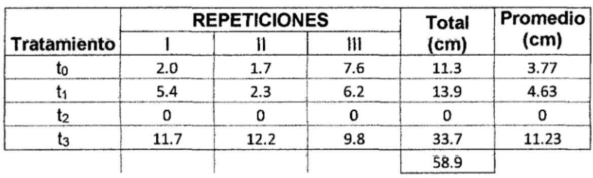 Cuadro 1:  Datos experimentales del incremento en altura (cm) de plántulas de. 