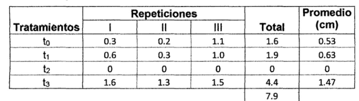 Cuadro  4:  Incremento  del  diámetro  (cm)  de  las  plantas  de  Desmoncus  polyacanthos