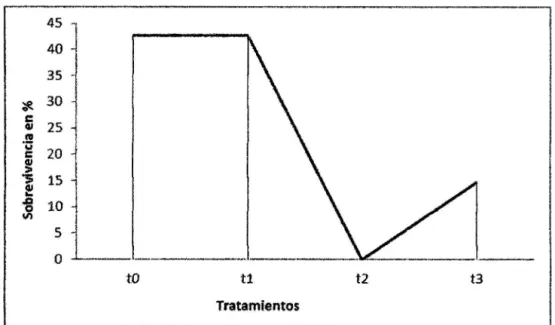 Figura  6:  Sobrevivencia  de  las  plántulas  de  Desmoncus  polyacanthos,  por  tratamiento