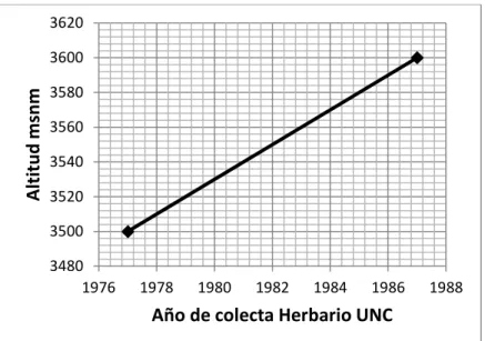 Gráfico 6. Comportamiento en el tiempo de los registros botánicos    del  &#34;shinshil&#34; Orthrosanthus chimboracensis 