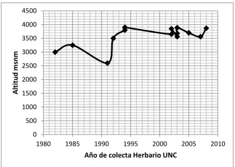 Gráfico 11.    Comportamiento en el tiempo de los registros botánicos  del &#34;pirgay de shingo&#34; Pernethia prostrata