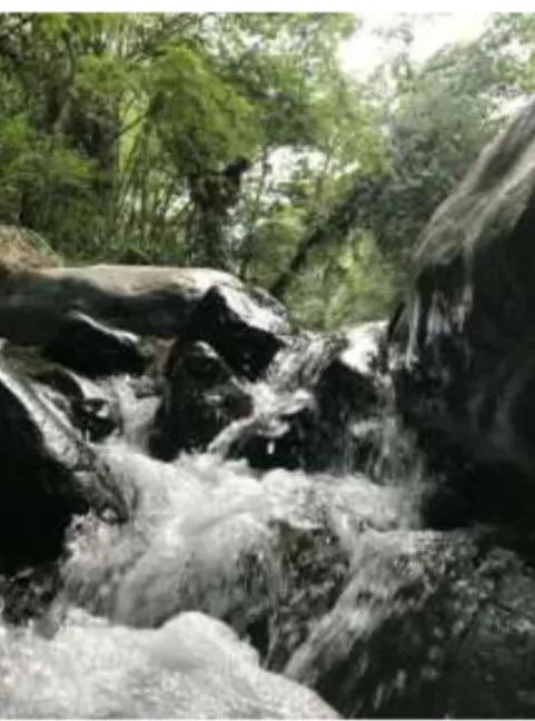 Ilustración 11 Comportamiento del caudal de un río (Foto del río Cune, Villeta,  Cundinamarca)