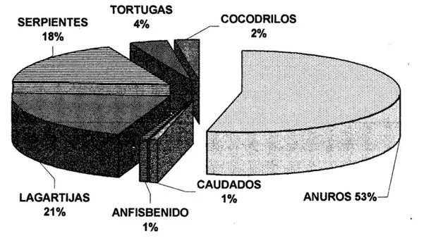 Figura N° 01. Riqueza de herpetozoos del río Pucacuro, entre los  meses de Junio a Diciembre del 2001 