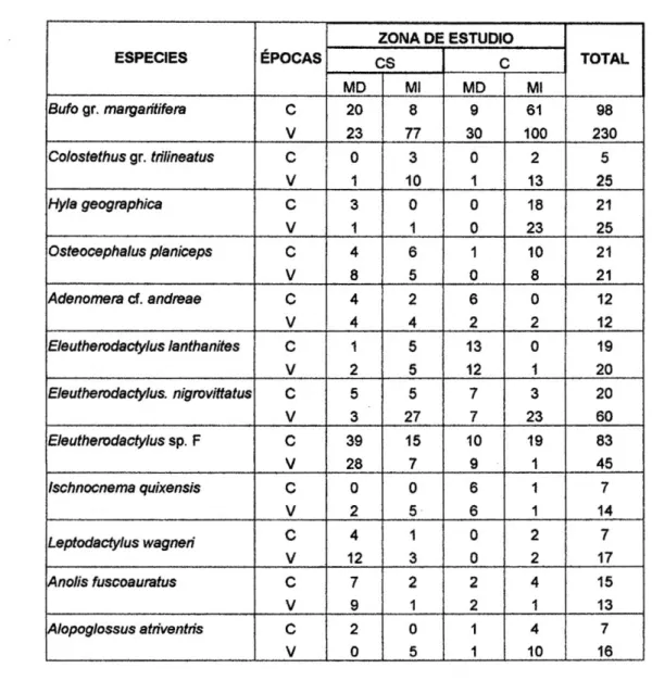 Tabla N° 04. Especies de anfibios y reptiles más abundantes por zonas de  estudio, márgenes y época del año (Junio - Diciembre, 2001) 