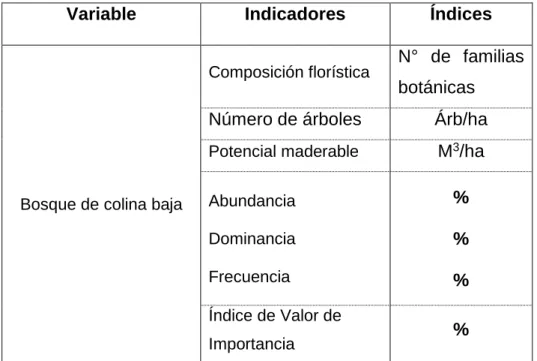 Cuadro 1. Operacionalidad de las variables 