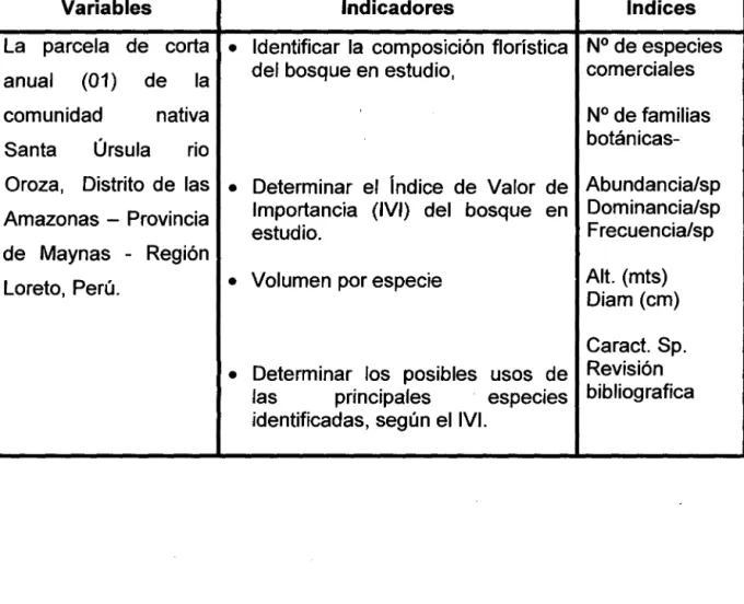 Cuadro 01. Variables, Indicadores e Índices. 