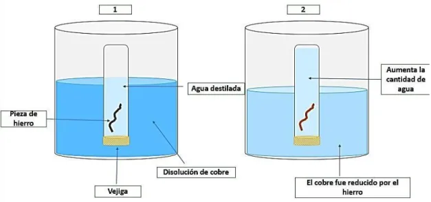 Figura 5: Representación del experimento realizado por Fischer con un tubo de ensayo con  agua destilada