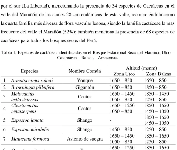 Tabla 1: Especies de cactáceas identificadas en el Bosque Estacional Seco del Marañón Utco –  Cajamarca – Balzas – Amazonas