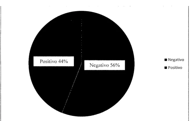 GRÁFICO N°  1 