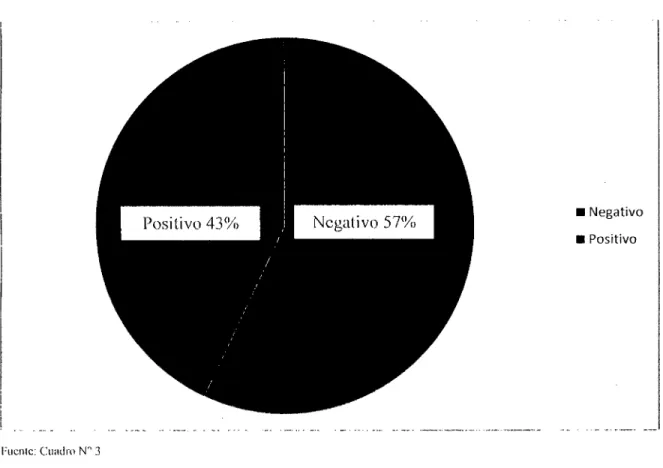 GRÁFICO N° 3 