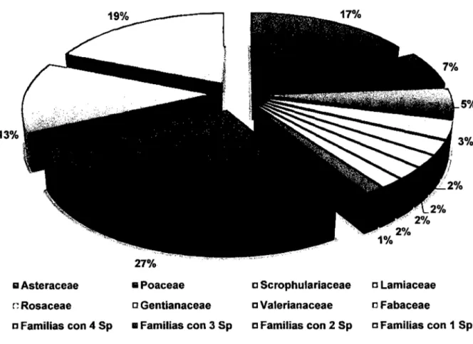 Figura 7.  Porcentaje de especies clasificados por familias de las cuencas de los  ríos Chetilla y Ronquillo 