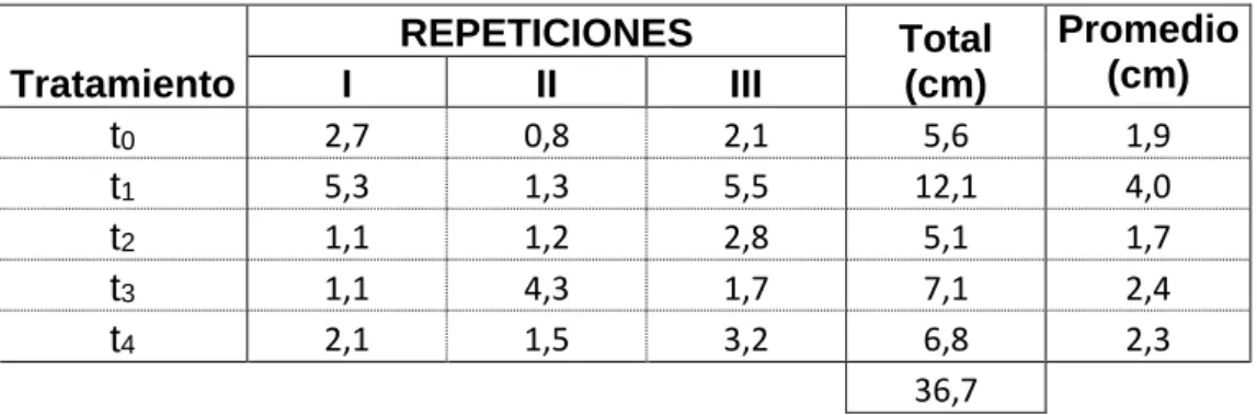 Cuadro 1:  Datos  experimentales  del  incremento  en  altura  (cm)  de  plántulas  de  Brosimum utile Kunth