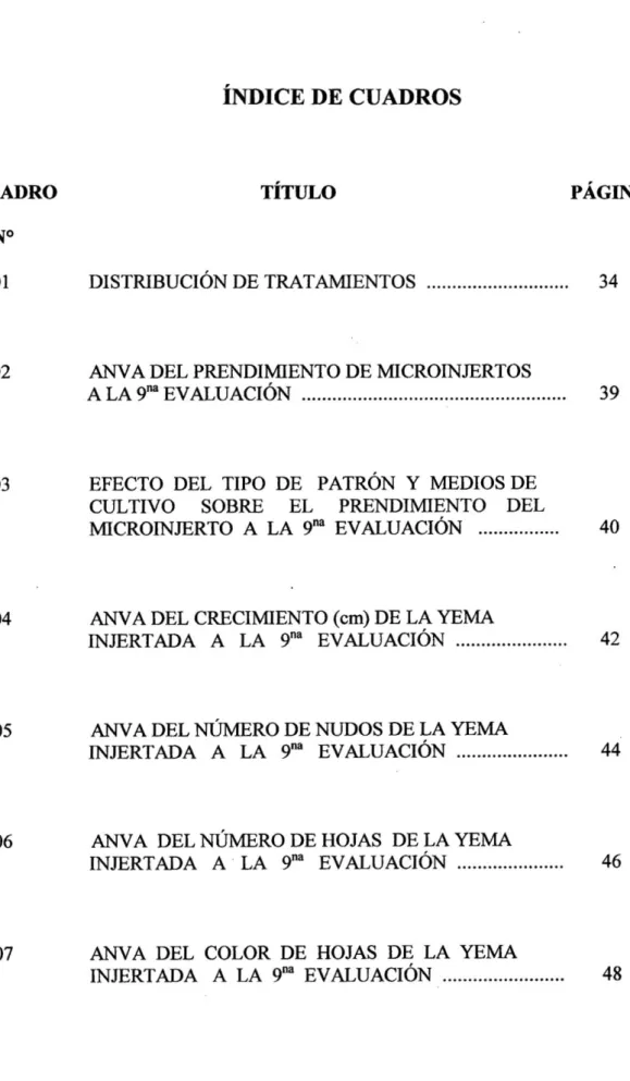 CUADRO TÍTULO PÁGINA  N° 