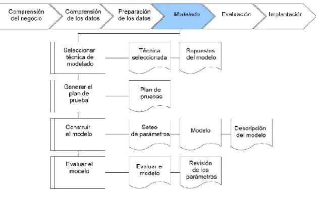Figura 6: Fase de modelado  6 . 