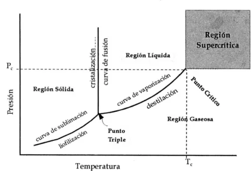 Figura 1: Diagrama presión-temperatura para una sustancia pura 