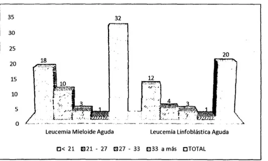 GRÁFICO N°13: 