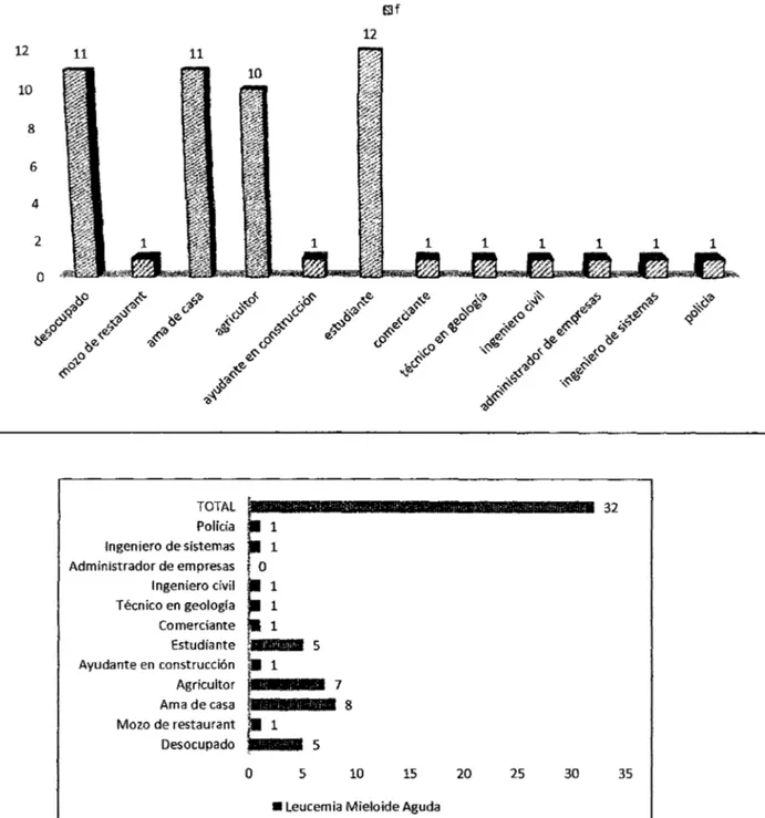 GRÁFICO N°17: 