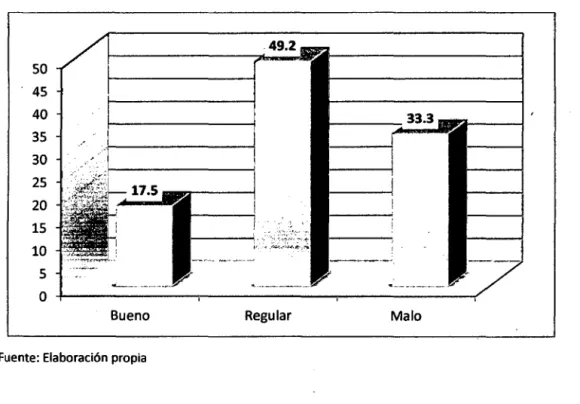 GRÁFICO N°6 