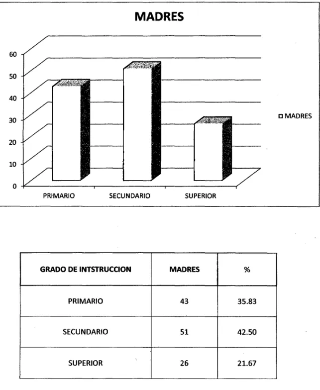 GRÁFICO N° 7 