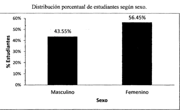 GRÁFICO N° 01 