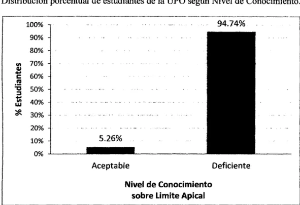 GRÁFICO N°  04 